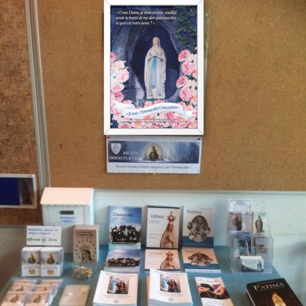 Affiche du 11 février : Notre-Dame de Lourdes