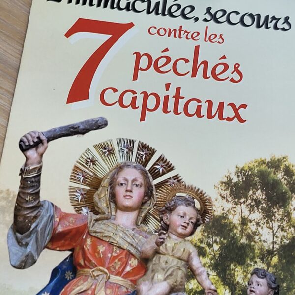 L'Immaculée secours contre nos péchés capitaux - N°47 – Image 5
