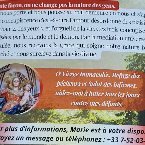 L'Immaculée secours contre nos péchés capitaux - N°47 – Image 14