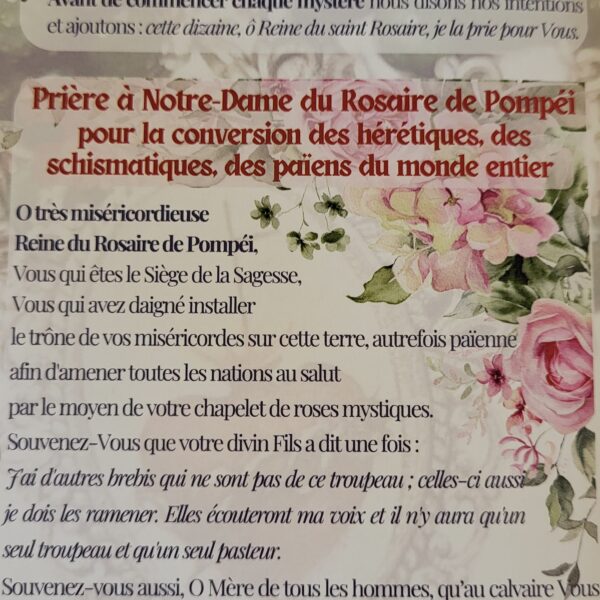 Sauvé du satanisme par Notre-Dame de Pompéi - N°24 – Image 8