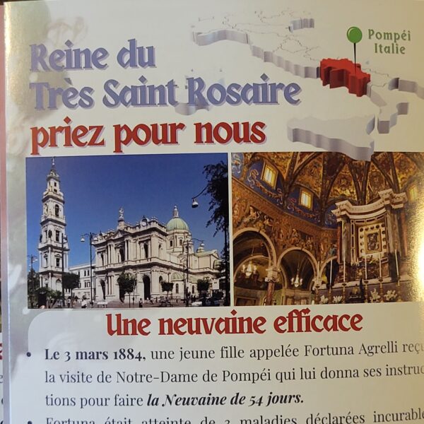 Sauvé du satanisme par Notre-Dame de Pompéi - N°24 – Image 10