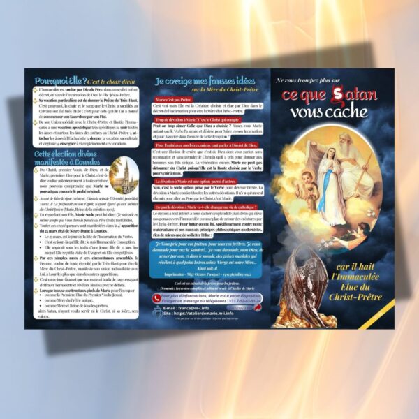 Ce que Satan vous cache car il hait l’Immaculée, Elue du Christ-Prêtre - N°46