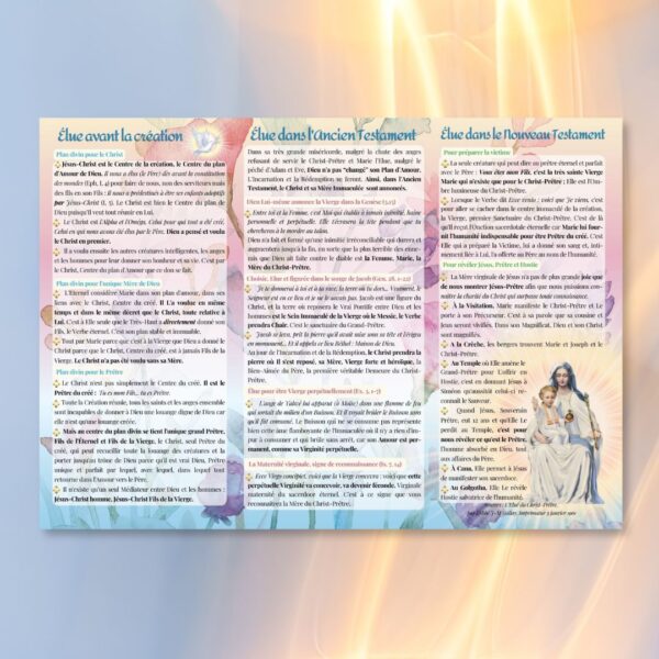 Ce que Satan vous cache car il hait l’Immaculée, Elue du Christ-Prêtre - N°46 – Image 2
